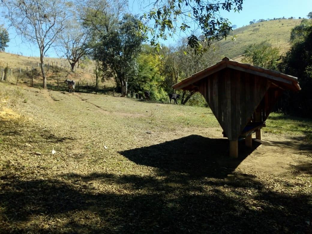 Fazenda, Centro, 1 Quarto, 1 Vaga, 1 Suíte