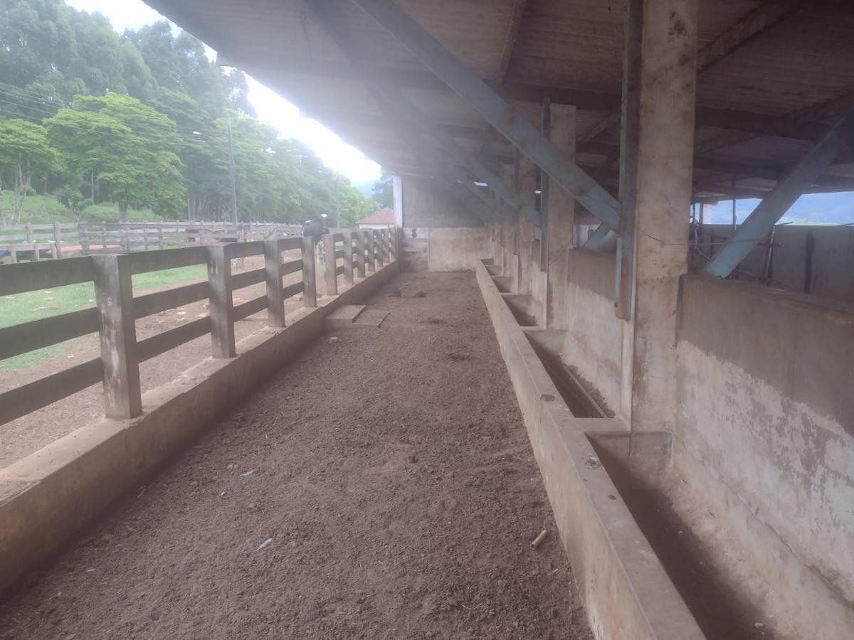 Fazenda, Centro, 3 Quartos, 1 Vaga