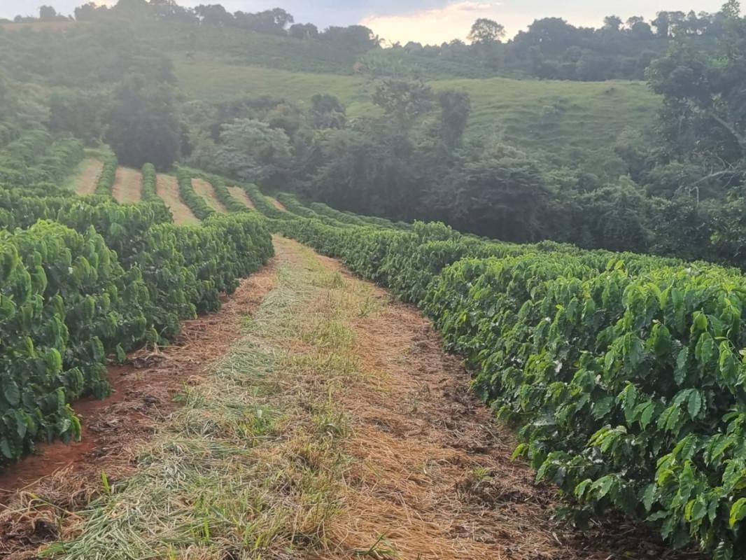 Fazenda, Zona Rural, 0 Quarto, 0 Vaga