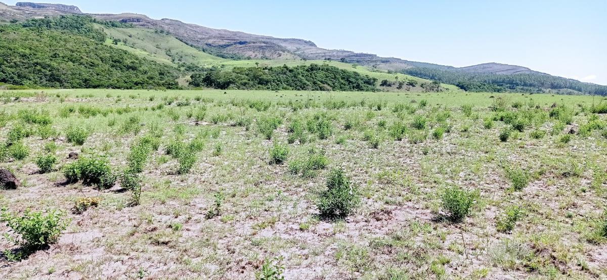 Fazenda, Zona Rural, 0 Quarto, 0 Vaga