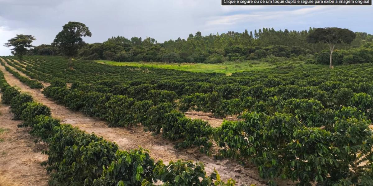 Fazenda, Zona Rural, 0 Quarto, 0 Vaga