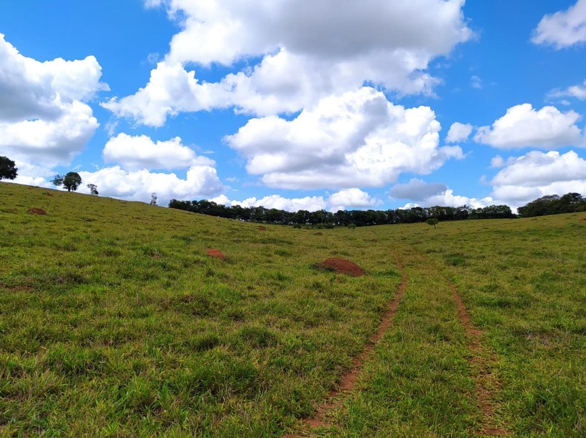 Fazenda, Centro, 1 Quarto, 1 Vaga