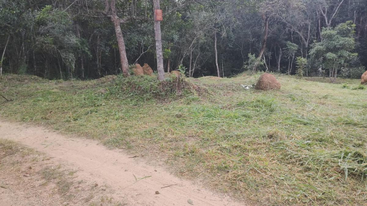 Lote, Acurui, 0 Quarto, 0 Vaga