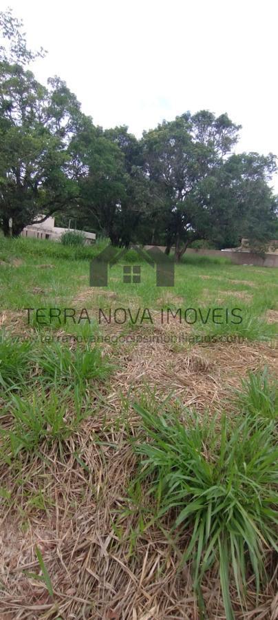 Lote, Parque Residencial Vivendas, 0 Quarto