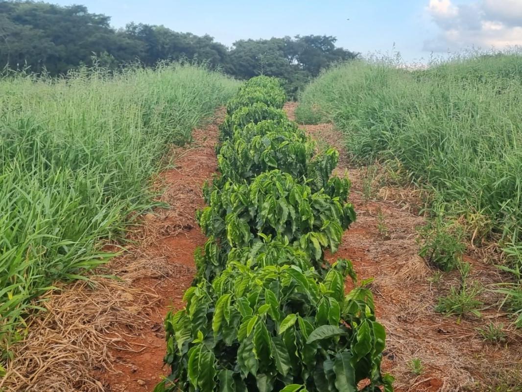 Fazenda, Zona Rural, 0 Quarto, 0 Vaga