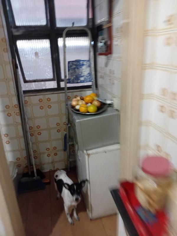Apartamento, Eldorado, 2 Quartos, 1 Vaga
