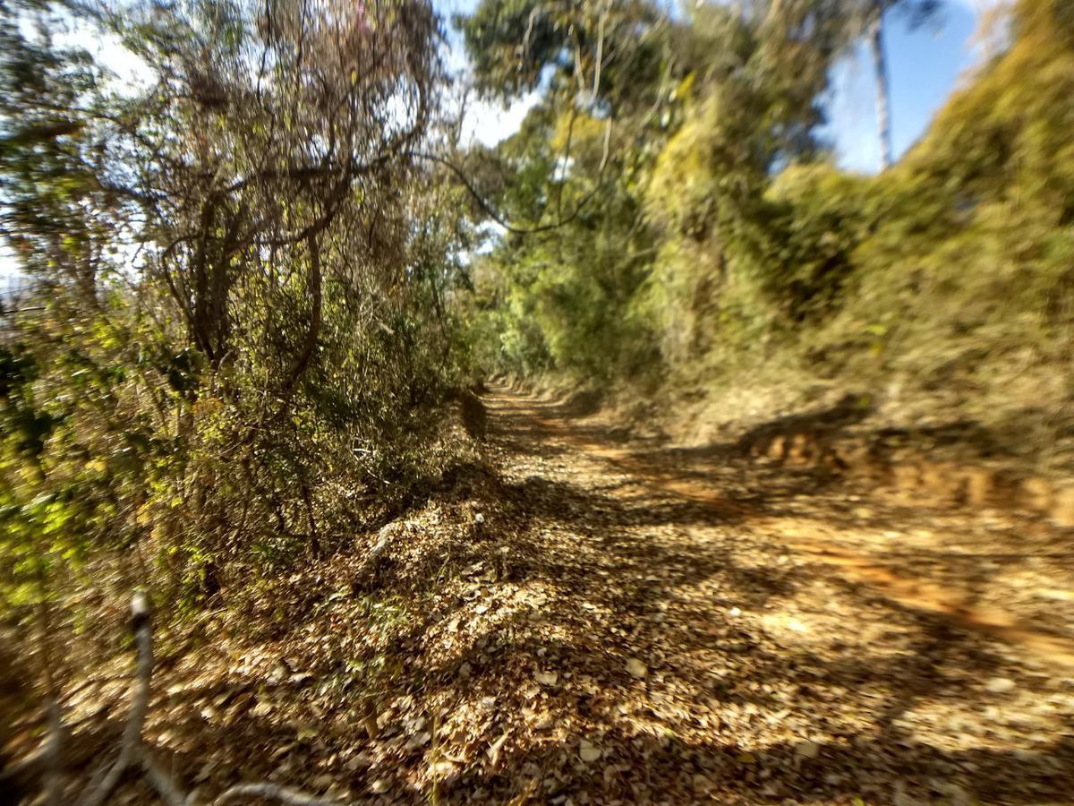 Fazenda, Zona Rural, 3 Quartos, 0 Vaga
