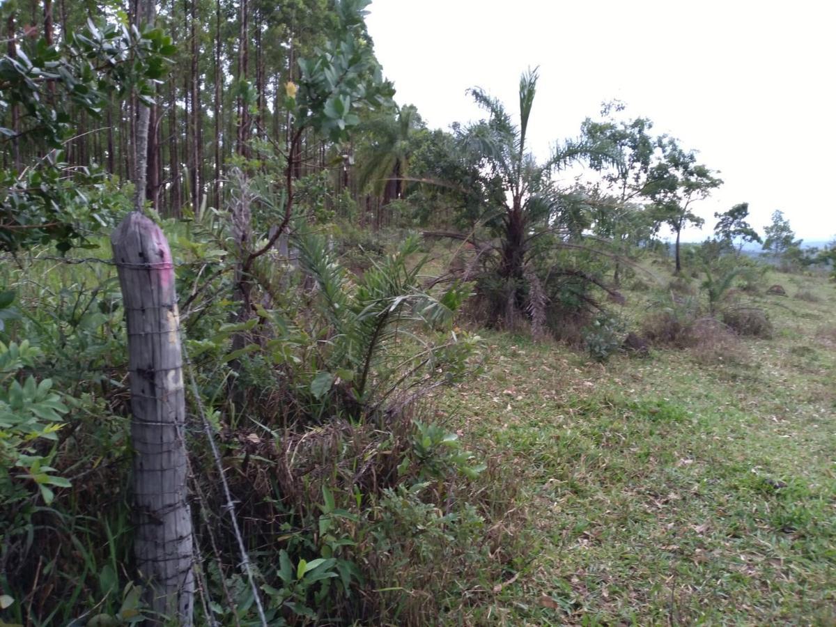 Lote, Zona Rural, 0 Quarto, 0 Vaga