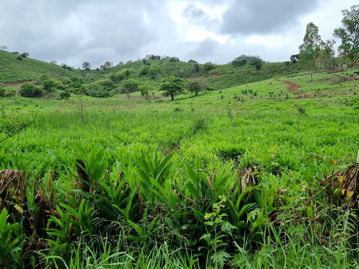 Fazenda, Zona Rural, 1 Quarto, 0 Vaga