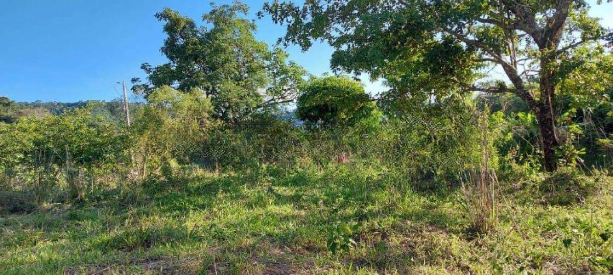 Fazenda, Area Rural de Santa Luzia, 0 Quarto, 0 Vaga