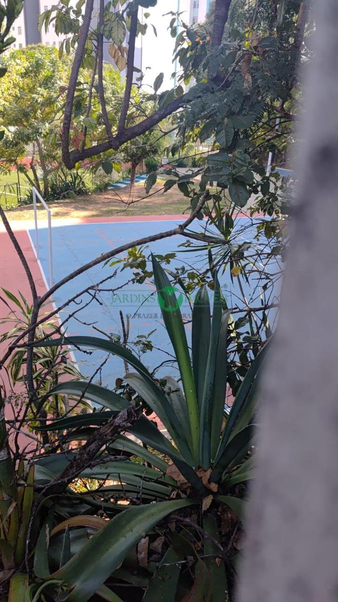 Apartamento, Nova Cachoeirinha, 3 Quartos, 1 Vaga, 1 Suíte