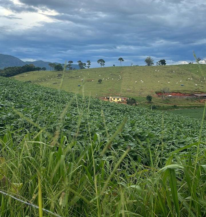 Fazenda, Zona Rural, 3 Quartos, 0 Vaga