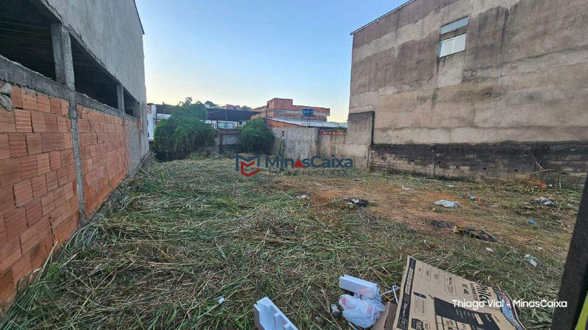 Lote, Alegre, 0 Quarto, 4 Vagas