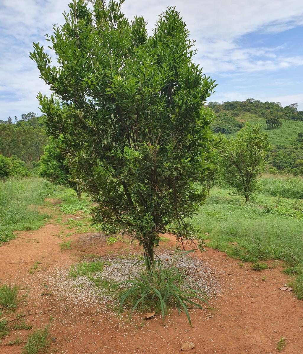 Fazenda, Zona Rural, 3 Quartos, 2 Vagas, 1 Suíte
