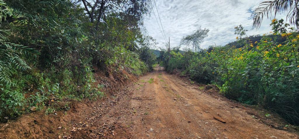Lote, Terra Santa, 0 Quarto, 0 Vaga
