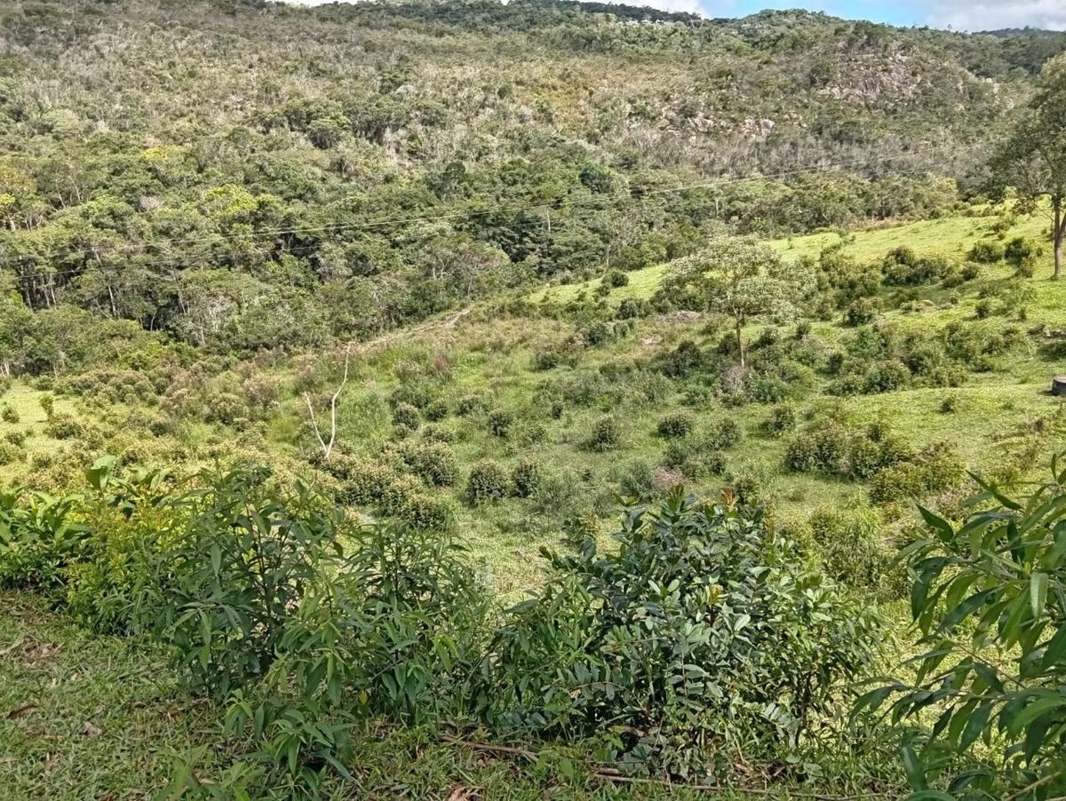 Fazenda, Centro, 3 Quartos, 10 Vagas, 1 Suíte