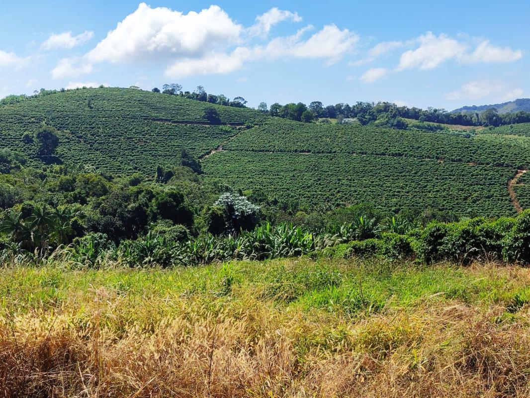 Fazenda, Zona Rural, 0 Quarto, 0 Vaga