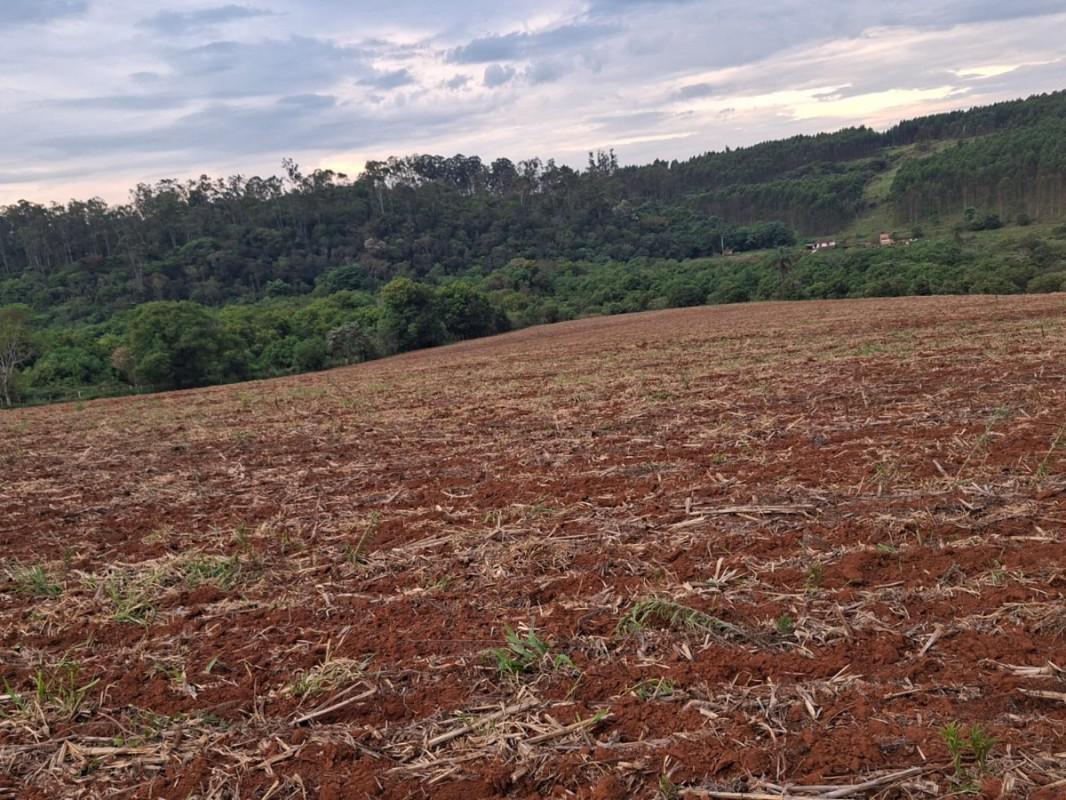 Fazenda, Zona Rural, 0 Quarto, 0 Vaga