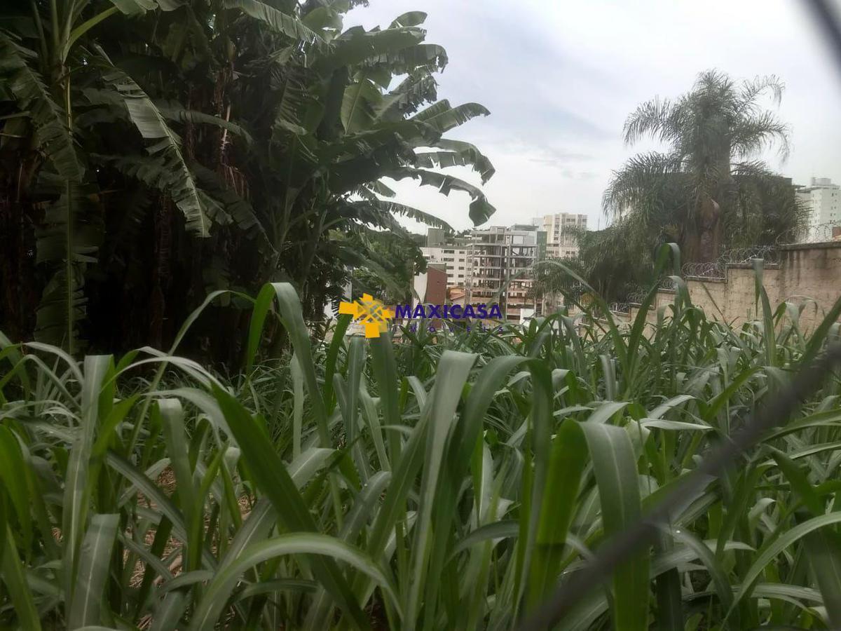 Lote, São Luiz (pampulha), 0 Quarto, 0 Vaga