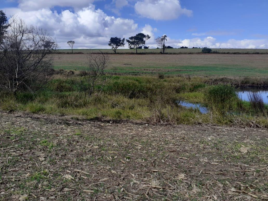 Fazenda, Zona Rural, 1 Quarto, 1 Vaga, 1 Suíte