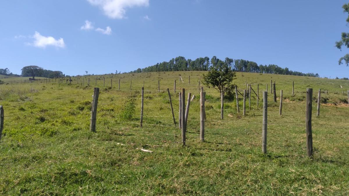 Fazenda, Centro, 0 Quarto, 0 Vaga