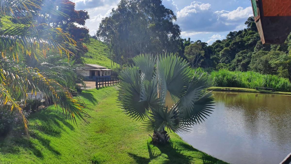 Fazenda, Centro, 3 Quartos, 0 Vaga, 2 Suítes