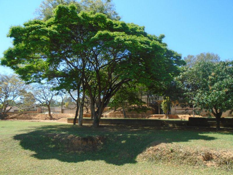 Lote, Veneza, 0 Quarto, 0 Vaga