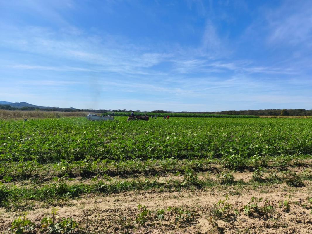 Fazenda, Centro, 0 Quarto, 0 Vaga