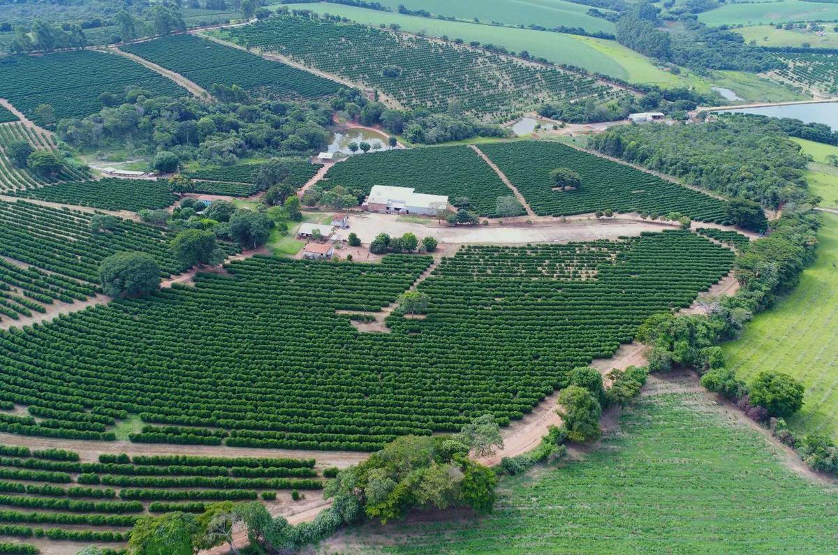 Fazenda, Zona Rural, 3 Quartos, 0 Vaga