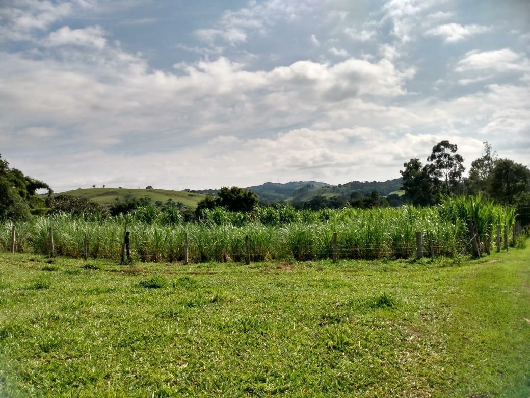 Fazenda, Zona Rural, 0 Quarto, 0 Vaga