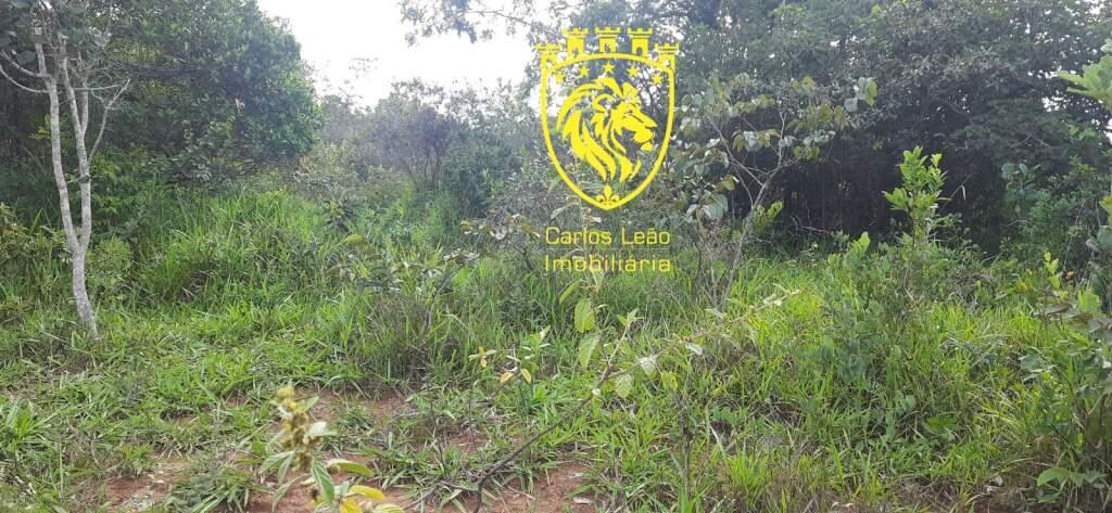 Fazenda, Centro, 0 Quarto, 0 Vaga