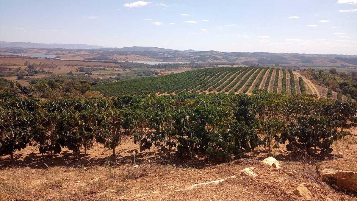 Fazenda, Zona Rural, 3 Quartos, 0 Vaga