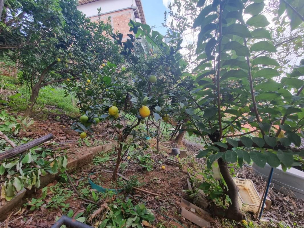 Lote, Jardim Riacho das Pedras, 0 Quarto, 12 Vagas