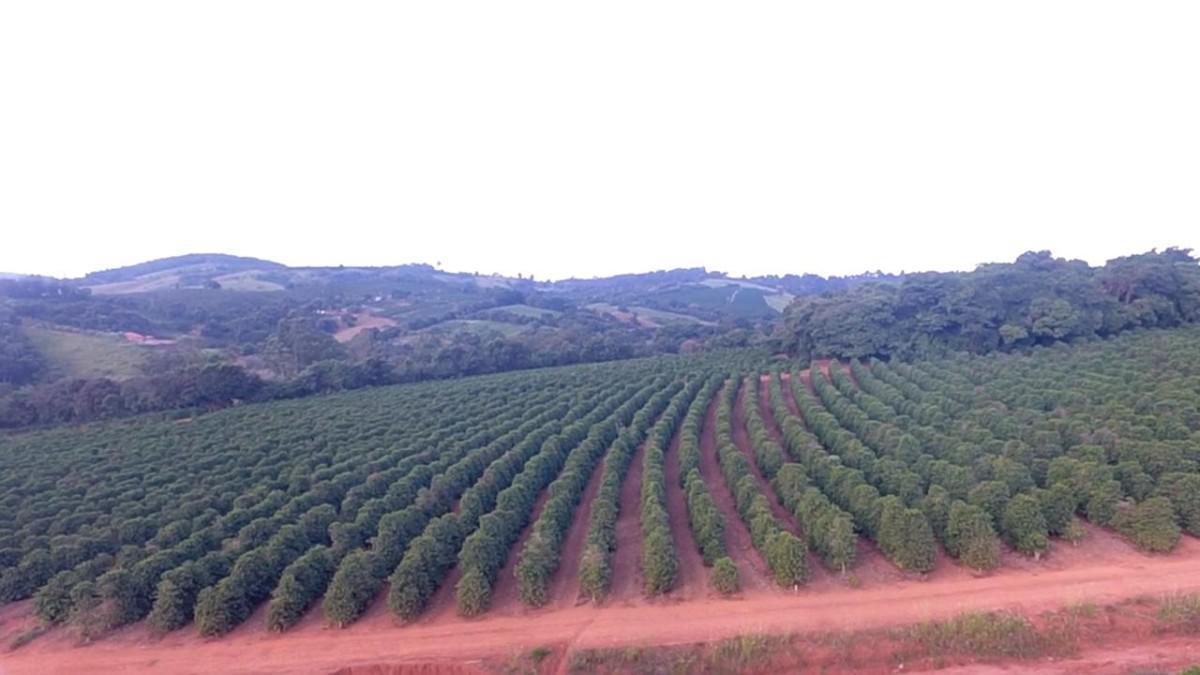 Fazenda, Zona Rural, 0 Quarto, 0 Vaga