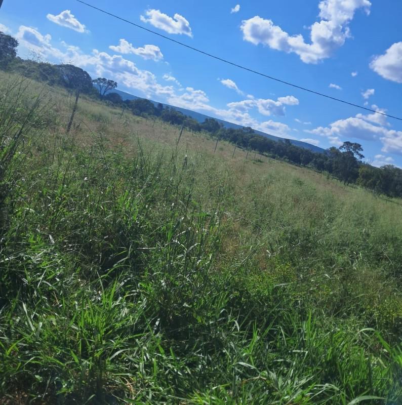 Fazenda, Zona Rural, 0 Quarto, 0 Vaga