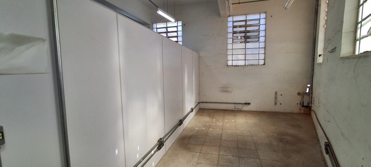 Galpão, Floresta, 0 Quarto, 6 Vagas