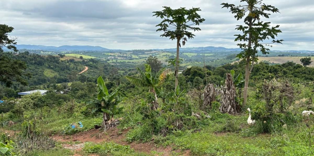 Fazenda, Zona Rural, 0 Quarto, 0 Vaga