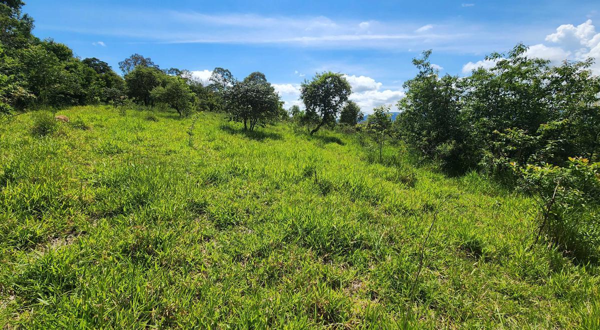 Fazenda, Zona Rural, 1 Quarto, 0 Vaga