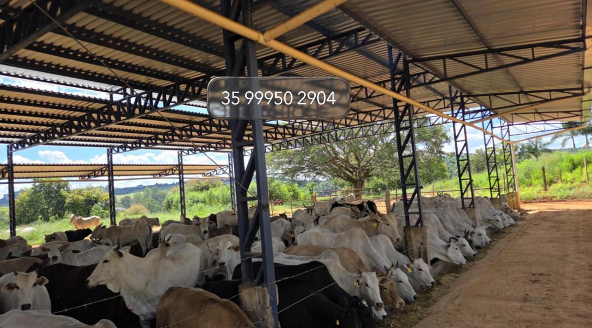Fazenda, Zona Rural, 3 Quartos, 0 Vaga, 1 Suíte