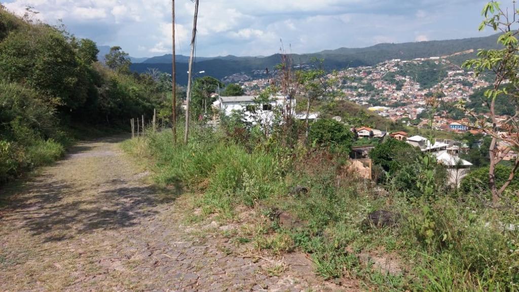 Lote, Morro São Francisco, 0 Quarto, 0 Vaga
