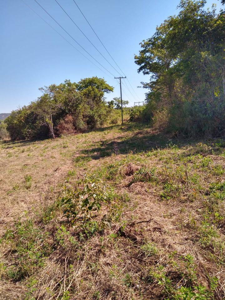 Lote, Zona Rural, 0 Quarto, 0 Vaga