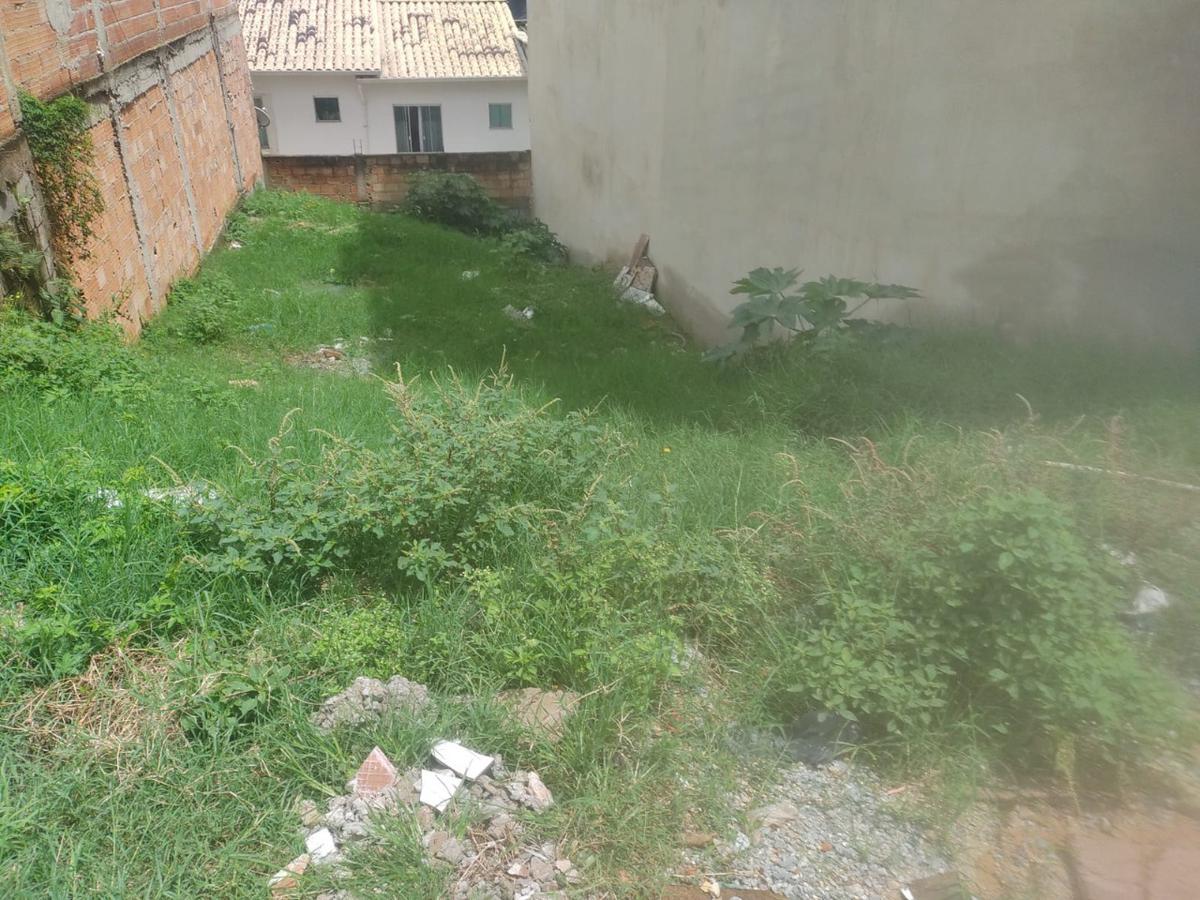 Lote, Palmeiras, 0 Quarto, 0 Vaga