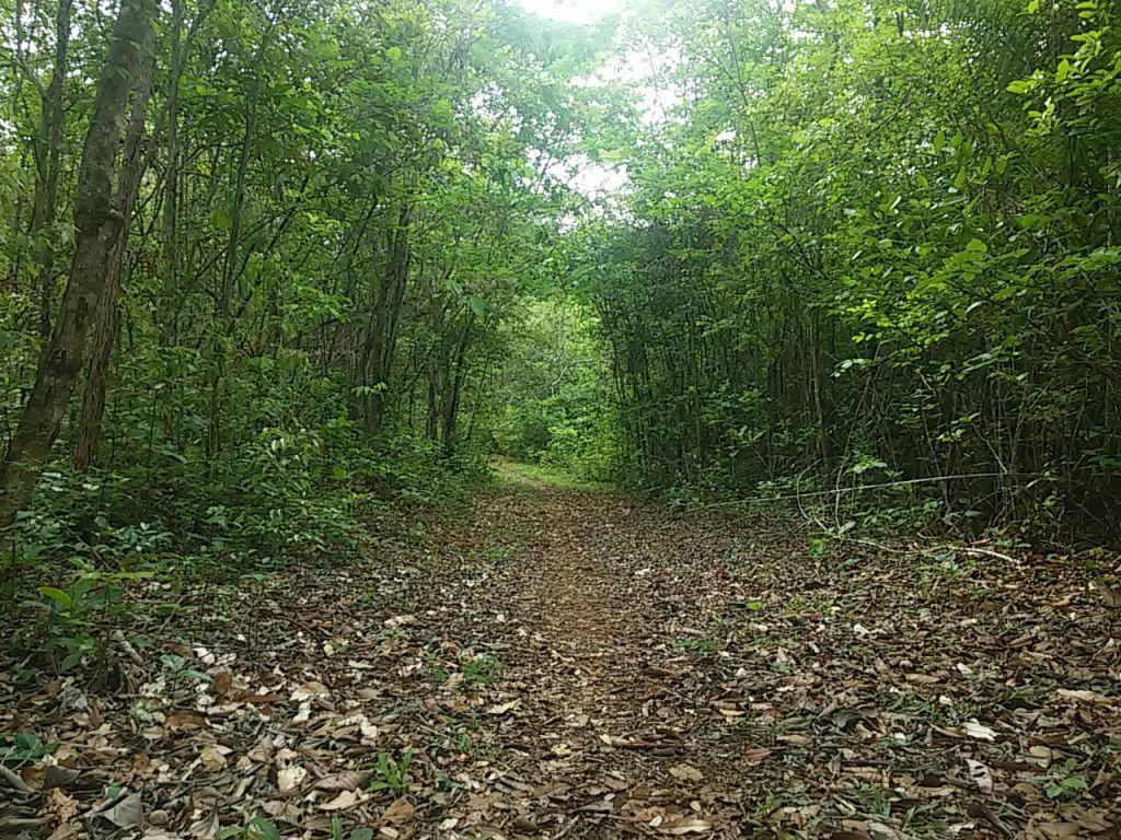 Fazenda, Centro, 0 Quarto, 0 Vaga