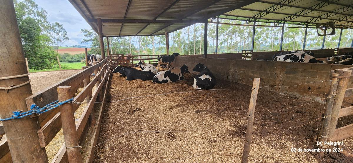 Fazenda, Zona Rural, 3 Quartos, 0 Vaga