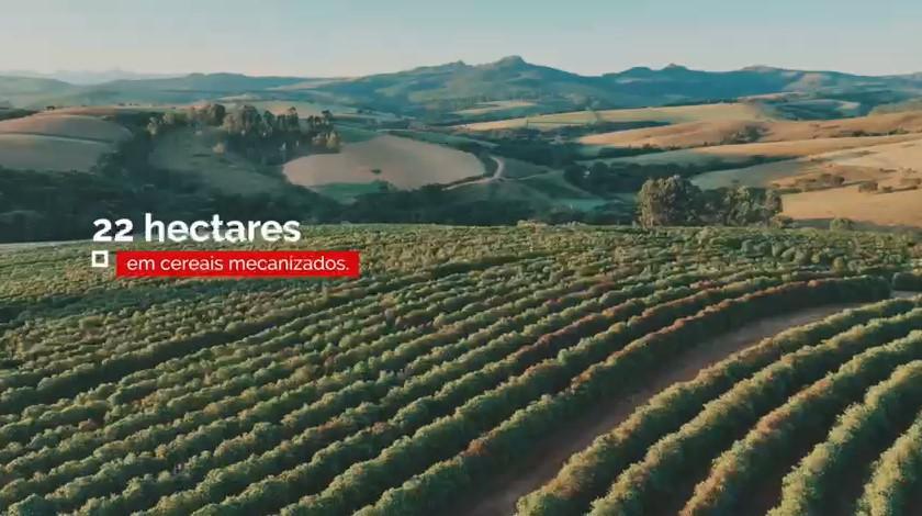 Fazenda, Zona Rural, 0 Quarto, 0 Vaga