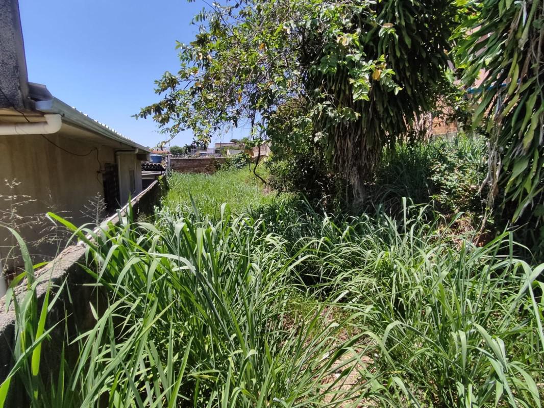 Lote, Santa Cruz, 0 Quarto, 0 Vaga