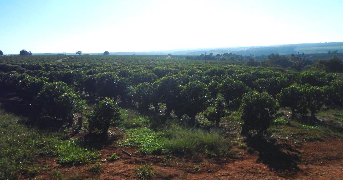 Fazenda, Zona Rural, 4 Quartos, 0 Vaga