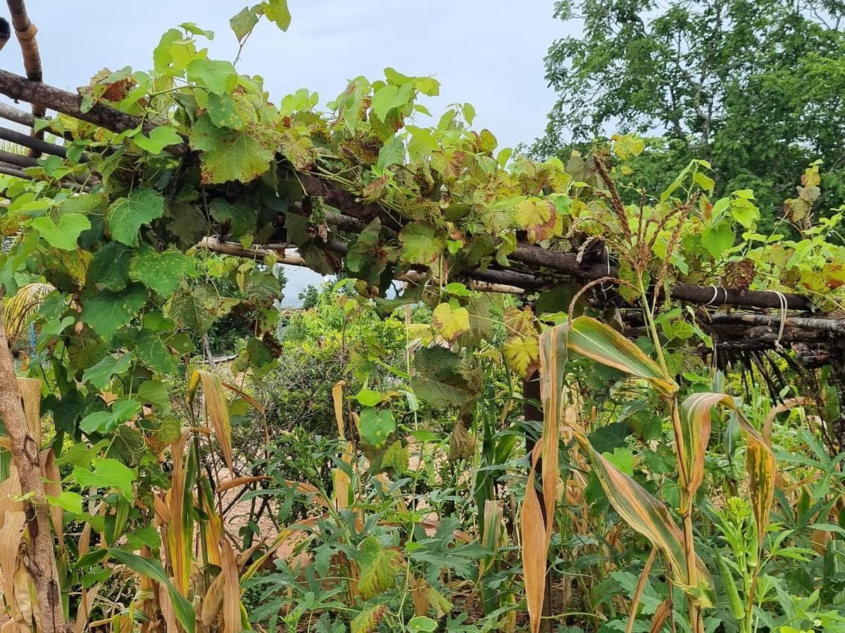 Fazenda, São José, 2 Quartos, 0 Vaga, 2 Suítes