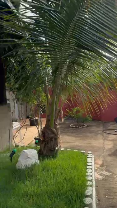 Casa, Nova Suíssa, 4 Quartos, 3 Vagas, 1 Suíte