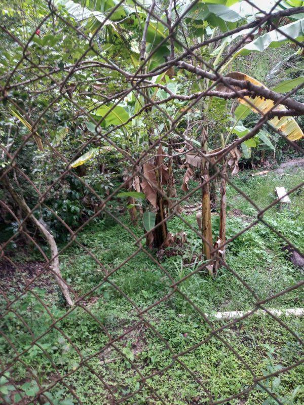 Fazenda, Jardim Rosario, 4 Quartos, 20 Vagas, 1 Suíte